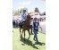  Carrera: P.Valderas Caballo: Octans Monta: V.Janacek
